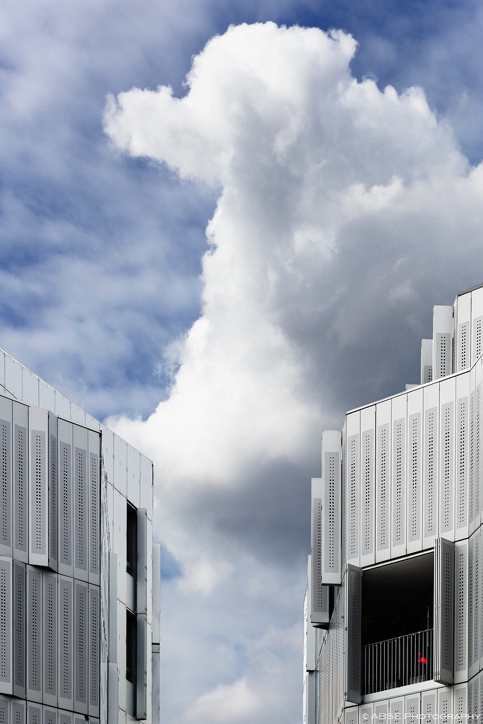 IMAGE: http://absephotography.com/wp-content/uploads/2014/10/BNF_IMG_7454.jpg